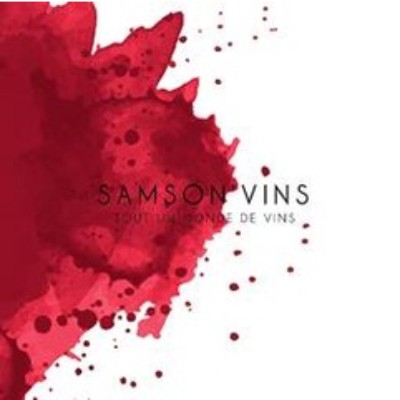 Samson Vins